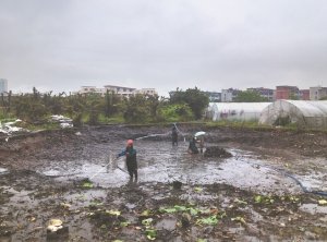 攸县河道鱼塘清淤